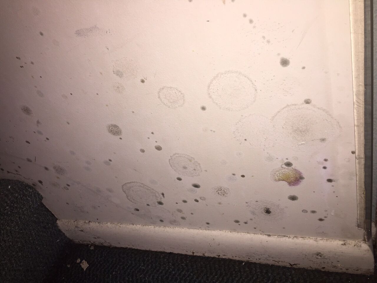 home mold damage