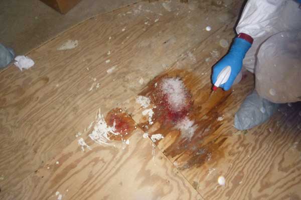 cost crime scene cleanup